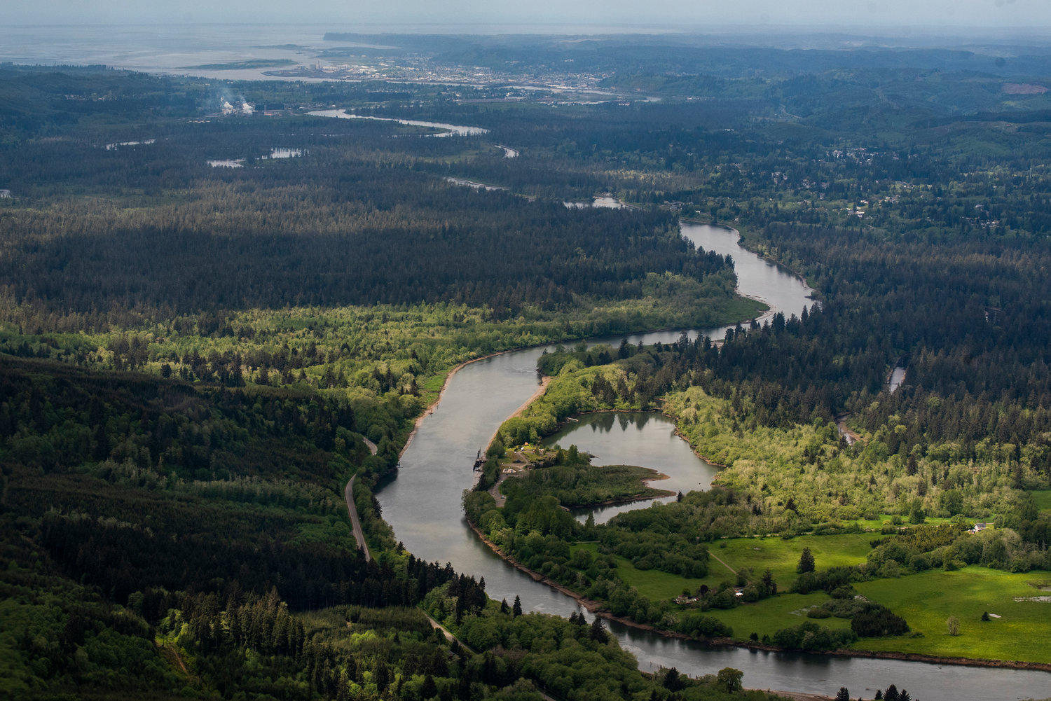 The Chehalis River flows out to Grays Harbor.